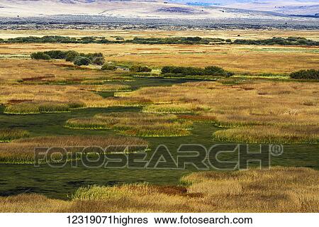 Stock Photograph - Buena Vista Lake is nearly dry in September on Malheur National Wildlife Refuge in Eastern Oregon; Frenchglen, Oregon, United States of America. Fotosearch