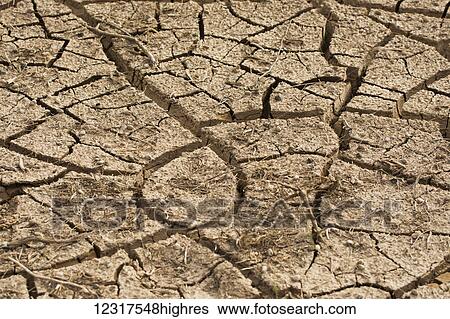 Caked mud dried with cracks; Mendoza, Argentina View Large Photo Image Stock Photograph - Caked mud dried with cracks; Mendoza, Argentina. Fotosearch