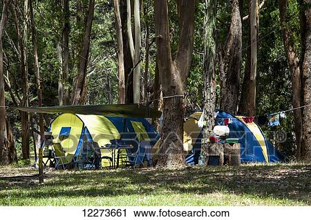 Camping in Santa Teresa National Park; Uruguay View Large Photo Image Stock Image - Camping in Santa Teresa National Park; Uruguay. Fotosearch