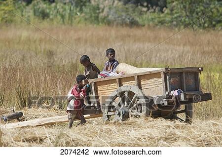 Cart In Isalo National Park, Fianarantsoa Province, Madagascar View Large Photo Image Stock Image - Cart In Isalo National Park, Fianarantsoa Province, Madagascar. Fotosearch