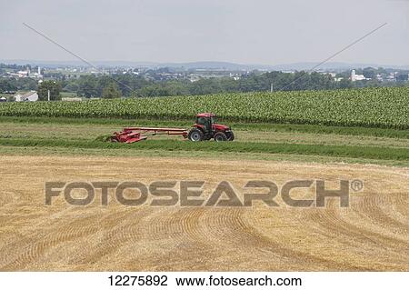Stock Image - Case IH Tractor with DC132 Disc Mower cutting Alfalfa; Strasburg, Pennsylvania, United States of America. Fotosearch