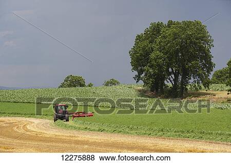Stock Photo - Case IH Tractor with DC132 Disc Mower cutting Alfalfa; Strasburg, Pennsylvania, United States of America. Fotosearch