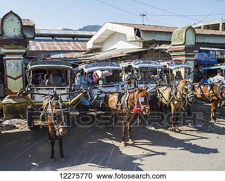 Stock Image - Cidomos, horse-drawn carriages, Lombok, West Nusa Tenggara, Indonesia. Fotosearch
