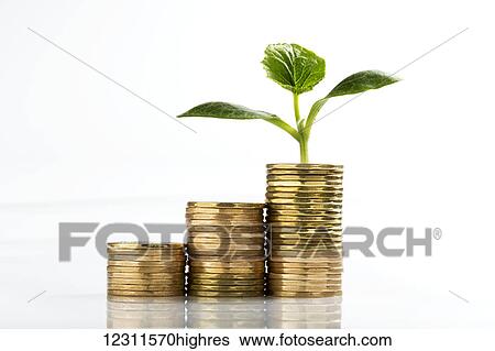Stock Photograph - Close up of a row of stacked coins (Loonies) on a white background, with a seedling growing out of the highest stack; Calgary, Alberta, Canada. Fotosearch