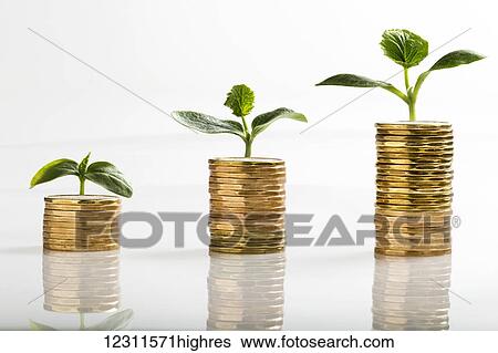 Close up of a row of stacked coins (Loonies) on a white background, with seedlings growing out of each stack, growing in size with each larger stack; Calgary, Alberta, Canada View Large Photo Image Stock Photograph - Close up of a row of stacked coins (Loonies) on a white background, with seedlings growing out of each stack, growing in size with each larger stack; Calgary, Alberta, Canada. Fotosearch