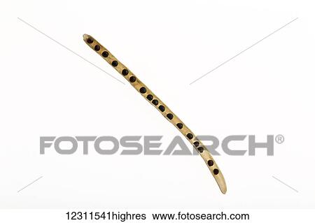 Close up of the inside of a canola seed pod on a white background; Calgary, Alberta, Canada View Large Photo Image Stock Photograph - Close up of the inside of a canola seed pod on a white background; Calgary, Alberta, Canada. Fotosearch
