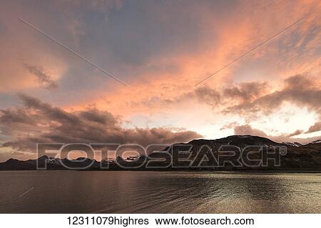 Stock Photograph - Clouds glowing at sunset with penguins on the shore; Grytviken, South Georgia, South Georgia and the South Sandwich Islands, United Kingdom. Fotosearch