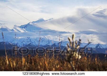 Stock Photograph - Clouds obscure the summit of Denali during the road lottery, Denali National Park and Preserve, interior Alaska; Alaska, United States of America. Fotosearch