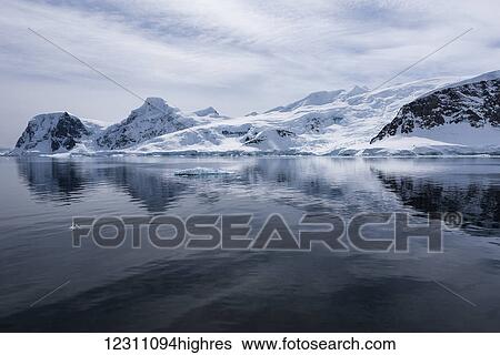 Cold landscape reflected in tranquil water; Antarctica View Large Photo Image Stock Photograph - Cold landscape reflected in tranquil water; Antarctica. Fotosearch
