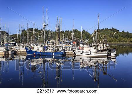 Stock Photo - Commercial fishing boats in Ucluelet Harbour; Vancouver Island, British Columbia, Canada. Fotosearch
