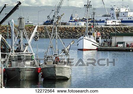 Commercial fishing vessels in the Homer harbor, Southcentral Alaska View Large Photo Image Picture - Commercial fishing vessels in the Homer harbor, Southcentral Alaska. Fotosearch