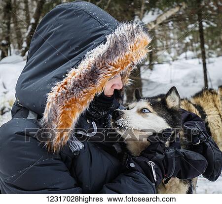 Stock Photograph - Connection between a sled dog and it's handler; Mont Laurier, Quebec, Canada. Fotosearch