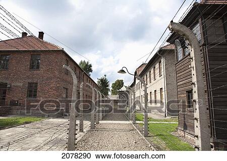 Corridor Of Electrified Barbed Wire Fences Separating The Prison Camp From The Administrative Offices, Auschwitz Concentration Camp, Oswiecim, Malopolska, Poland View Large Photo Image Stock Image - Corridor Of Electrified Barbed Wire Fences Separating The Prison Camp From The Administrative Offices, Auschwitz Concentration Camp, Oswiecim, Malopolska, Poland. Fotosearch
