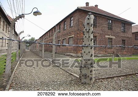 Corridor Of Electrified Barbed Wire Fences Separating The Prisoners Camp From The Administrative Offices, Auschwitz-Birkenau Concentration Camp, Oswiecim, Malopolska, Poland View Large Photo Image Stock Image - Corridor Of Electrified Barbed Wire Fences Separating The Prisoners Camp From The Administrative Offices, Auschwitz-Birkenau Concentration Camp, Oswiecim, Malopolska, Poland. Fotosearch