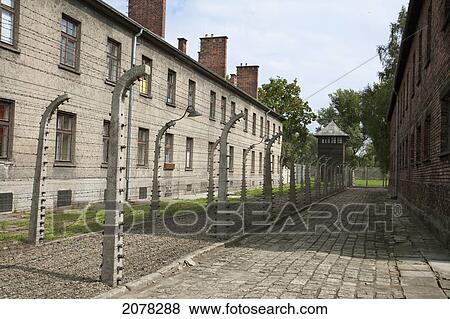 Corridor Of Electrified Barbed Wire Fences Separating The Prison Camp From The Administrative Offices, Auschwitz Concentration Camp, Oswiecim, Malopolska, Poland View Large Photo Image Stock Photo - Corridor Of Electrified Barbed Wire Fences Separating The Prison Camp From The Administrative Offices, Auschwitz Concentration Camp, Oswiecim, Malopolska, Poland. Fotosearch