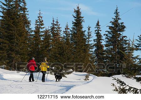 Couple nordic walking through snowy mountain trails with their dog; Filzmoos, Austria View Large Photo Image Stock Photography - Couple nordic walking through snowy mountain trails with their dog; Filzmoos, Austria. Fotosearch