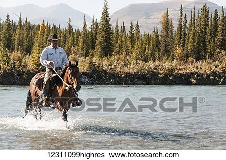 Cowboy and horse crossing river, Clearwater county; Alberta, Canada View Large Photo Image Stock Photograph - Cowboy and horse crossing river, Clearwater county; Alberta, Canada. Fotosearch
