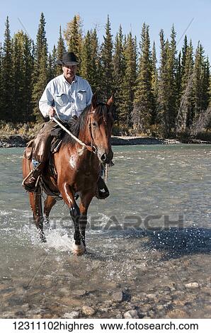 Cowboy and horse crossing river, Clearwater county; Alberta, Canada View Large Photo Image Stock Photograph - Cowboy and horse crossing river, Clearwater county; Alberta, Canada. Fotosearch