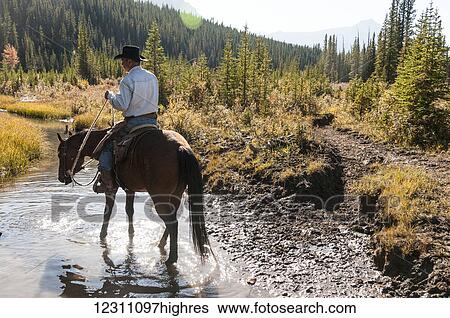 Stock Photograph - Cowboy and horse in creek, Clearwater County; Alberta, Canada. Fotosearch