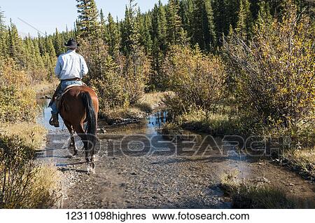 Cowboy and horse in creek, Clearwater County; Alberta, Canada View Large Photo Image Stock Photograph - Cowboy and horse in creek, Clearwater County; Alberta, Canada. Fotosearch