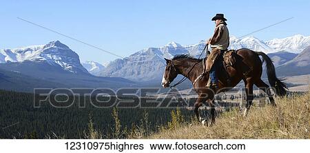 Cowboy riding with a view of the Rocky mountains, Ya-Ha-Tinda Ranch, Clearwater County; Alberta, Canada View Large Photo Image Stock Photograph - Cowboy riding with a view of the Rocky mountains, Ya-Ha-Tinda Ranch, Clearwater County; Alberta, Canada. Fotosearch