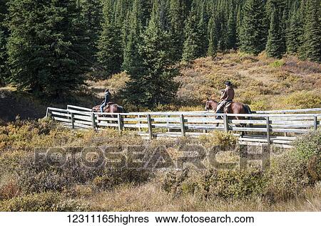 Stock Photograph - Cowboys and horses on bridge, Ya-Ha-Tinda Ranch; Clearwater County, Alberta, Canada. Fotosearch