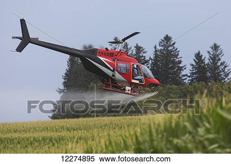 Stock Photography - Crop dusting helicopter spraying a corn field; Iowa, United States of America. Fotosearch