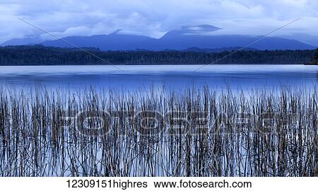 Stock Photograph - Dawn at Lake Mahinapua; Hokitika, South Island, New Zealand. Fotosearch