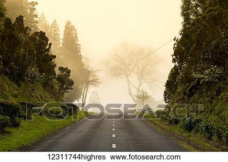 Stock Photograph - Daytime fog at the end of the road; Sao Miguel, Azores, Portugal. Fotosearch