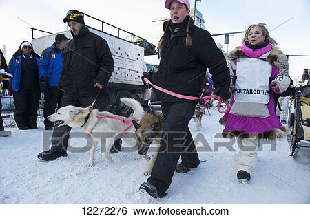 Deedee Jonrowe and her dog team head for the start line at the 2011 Iditarod start in downtown Anchorage, Alaska View Large Photo Image Stock Photograph - Deedee Jonrowe and her dog team head for the start line at the 2011 Iditarod start in downtown Anchorage, Alaska. Fotosearch