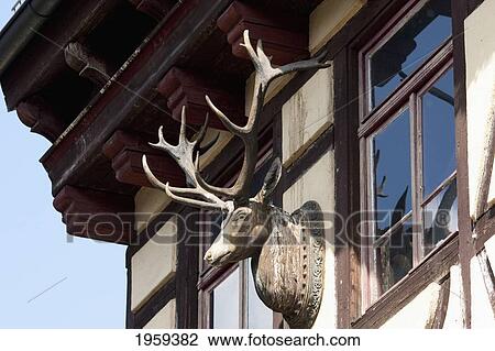 Stock Image - Deer Head On Gorjel Schwenker Pub In Alt-Sachsenhausen At Frankfurt Am Main, Germany. Fotosearch