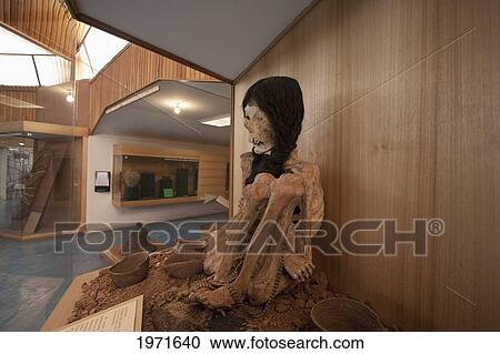 Stock Image - Dehydrated Corpse Of A Young Woman On Display At The Archaeological Museum R. P. Gustavo Le Paige, San Pedro De Atacama, Antofagasta Region, Chile. Fotosearch