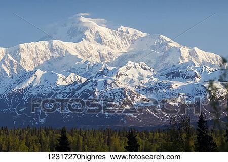 Denali, photographed from mile 135 of the Parks highway near the Denali Viewpoint South rest stop area, Central Alaska; Alaska, United States of America View Large Photo Image Stock Photograph - Denali, photographed from mile 135 of the Parks highway near the Denali Viewpoint South rest stop area, Central Alaska; Alaska, United States of America. Fotosearch