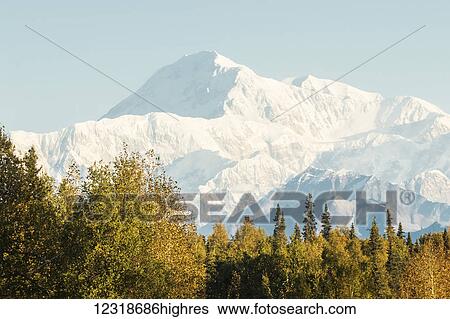 Denali, photographed from the Parks Highway near South Viewpoint rest stop; Alaska, United States of America View Large Photo Image Stock Photograph - Denali, photographed from the Parks Highway near South Viewpoint rest stop; Alaska, United States of America. Fotosearch