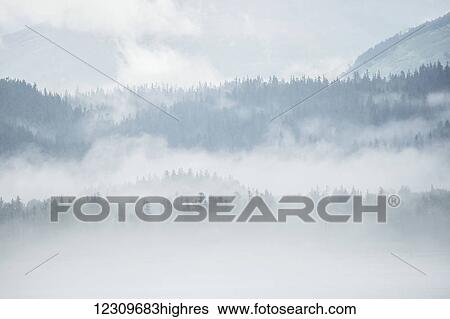 Stock Photograph - Dense cloud and fog sits over mountains and forests on the Alaskan coastline; Alaska, United States of America. Fotosearch