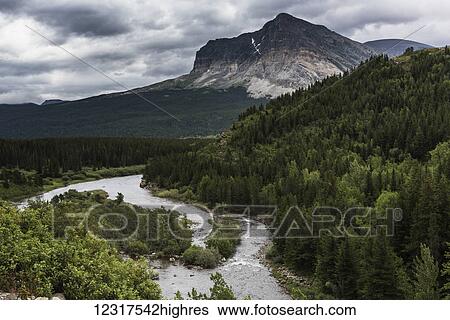 Stock Photograph - Dense forest, rugged mountain and river flowing through the landscape of Glacier National park; Montana, United States of America. Fotosearch