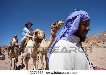Stock Photography - Desert camel ride, South Sinai; Sharm el-Sheikh, Egypt. Fotosearch