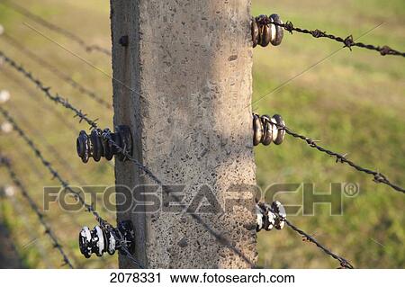 barbed electrified fence wire auschwitz sections separating birkenau concentration oswiecim malopolska poland camp fotosearch