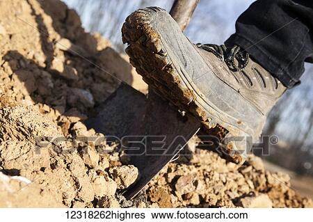Stock Photograph - Digging with a work boot on a shovel; New Holland, Pennsylvania, United States of America. Fotosearch