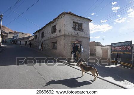 Dog In Front Of A Store At The Miners' Market, Potos View Large Photo Image Stock Image - Dog In Front Of A Store At The Miners' Market, Potos. Fotosearch
