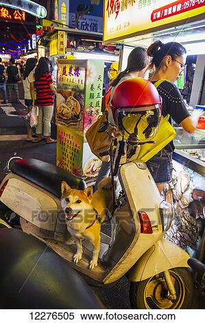 Stock Photography - Dog standing on a motorcycle at the Linjiang Street Night Market; Taipei, Taiwan. Fotosearch