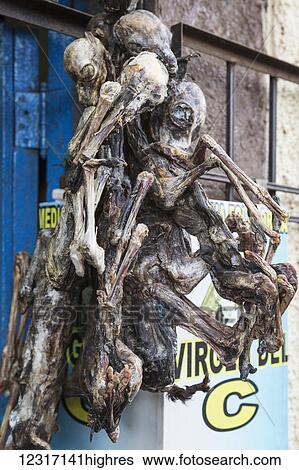 Dried llama bodies used for herbal medicine in market; Cusco, Peru View Large Photo Image Stock Photograph - Dried llama bodies used for herbal medicine in market; Cusco, Peru. Fotosearch