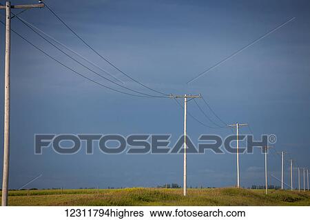 Stock Photograph - Electrical wires and poles across farmland against a dark blue sky; Saskatchewan, Canada. Fotosearch