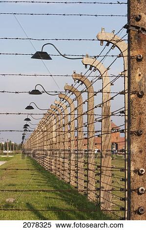 Electrified Barbed Wire Fence Separating Sections Of The Auschwitz-Birkenau Concentration Camp, Oswiecim, Malopolska, Poland View Large Photo Image Stock Photography - Electrified Barbed Wire Fence Separating Sections Of The Auschwitz-Birkenau Concentration Camp, Oswiecim, Malopolska, Poland. Fotosearch
