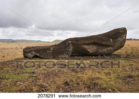 Fallen Moai At Ahu Hanga Tetenga, Rapa Nui (Easter Island), Chile View Large Photo Image Stock Image - Fallen Moai At Ahu Hanga Tetenga, Rapa Nui (Easter Island), Chile. Fotosearch