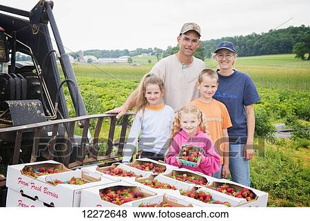 Family owned and operated strawberry farm, all members participate in the picking; Strasburg, Pennsylvania, United States of America View Large Photo Image Stock Photo - Family owned and operated strawberry farm, all members participate in the picking; Strasburg, Pennsylvania, United States of America. Fotosearch