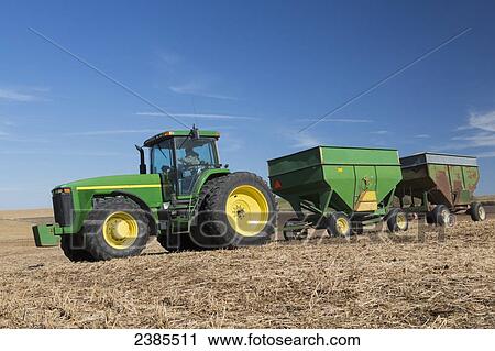 Stock Image - Farmer driving a tractor hauling two grain wagons full of soybeans in autumn in Northeast Iowa; Iowa, United States of America. Fotosearch