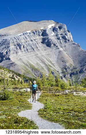 Stock Photograph - Female hiker walking along a meadow trail with mountain peak in the distance and blue sky; Banff, Alberta, Canada. Fotosearch