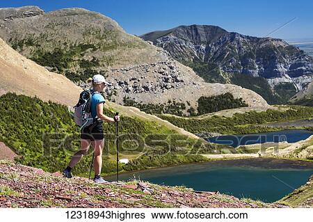 Female hiker walking down a rocky hillside with alpine lake below and mountains in the distance with blue sky; Waterton, Alberta, Canada View Large Photo Image Stock Photograph - Female hiker walking down a rocky hillside with alpine lake below and mountains in the distance with blue sky; Waterton, Alberta, Canada. Fotosearch