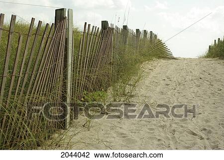 Fence Falling Over Between Pathway To Beach And Protected Green Space. South Beach, Miami Florida. View Large Photo Image Stock Image - Fence Falling Over Between Pathway To Beach And Protected Green Space. South Beach, Miami Florida.. Fotosearch